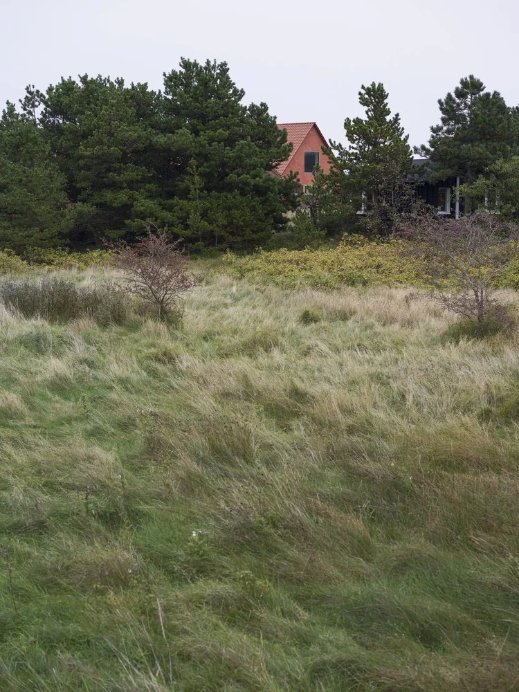 Fanø_02_high.jpg