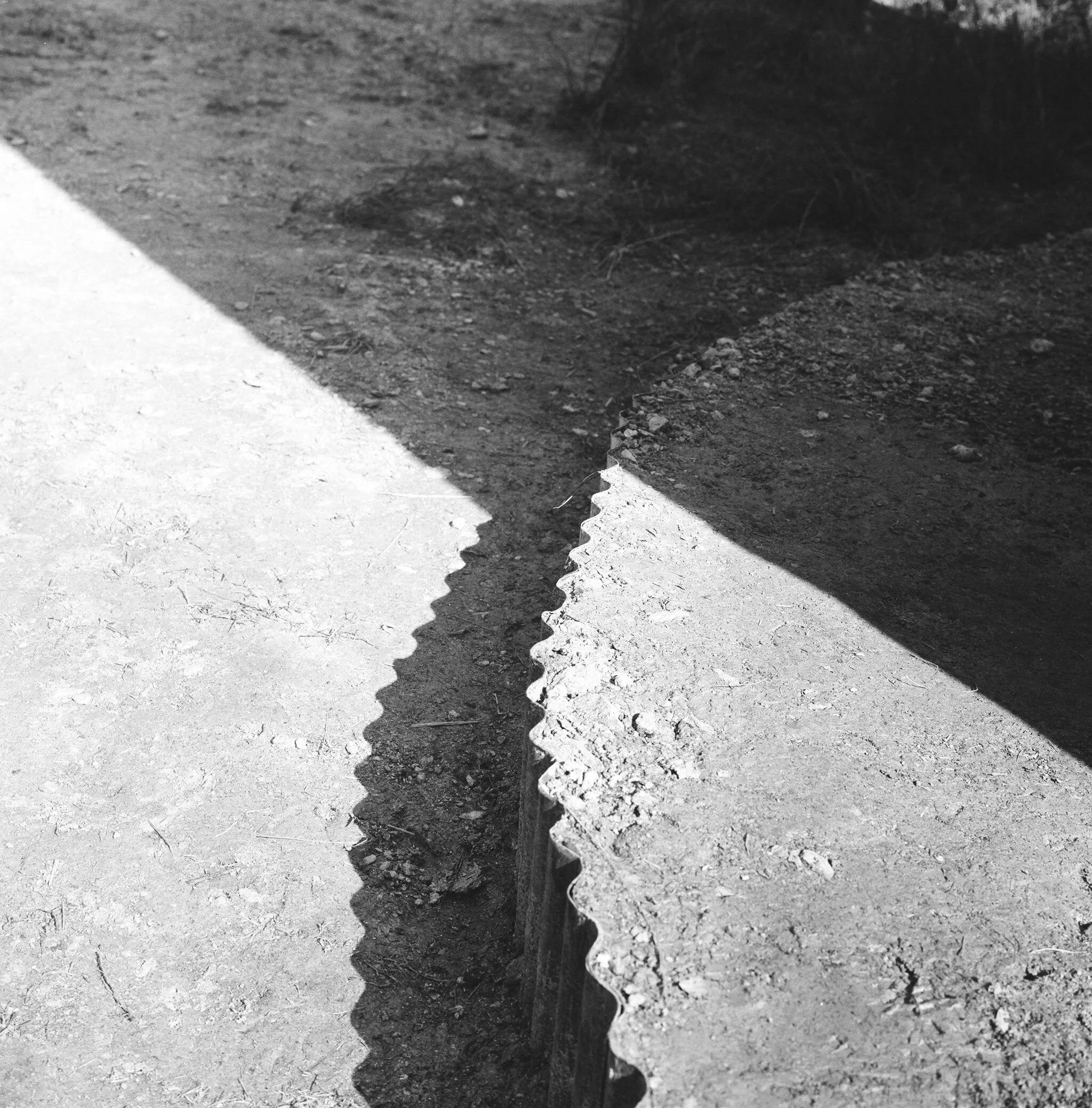 Film8162_04-rotated.jpg