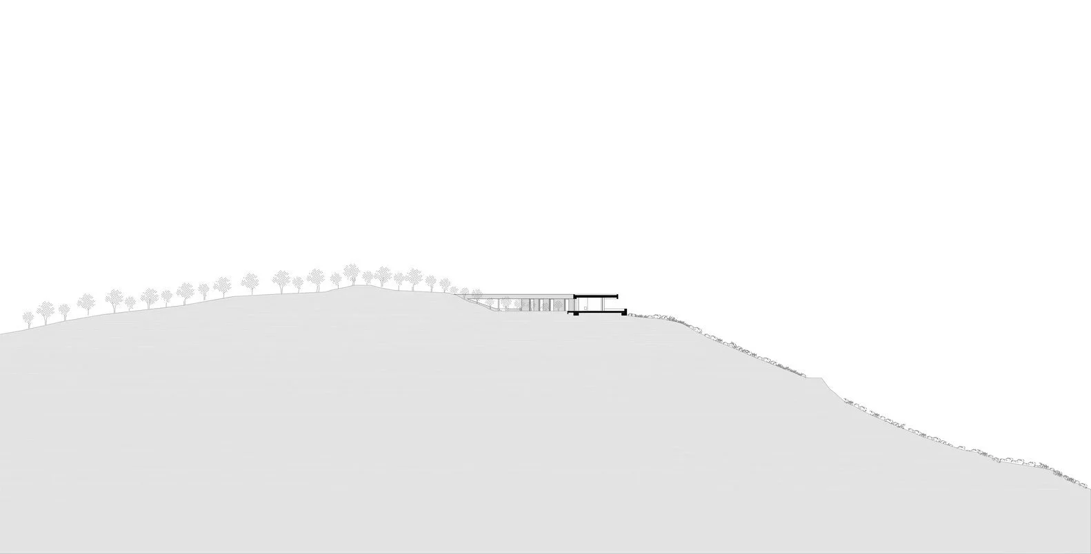 1_500_SECTION.jpg