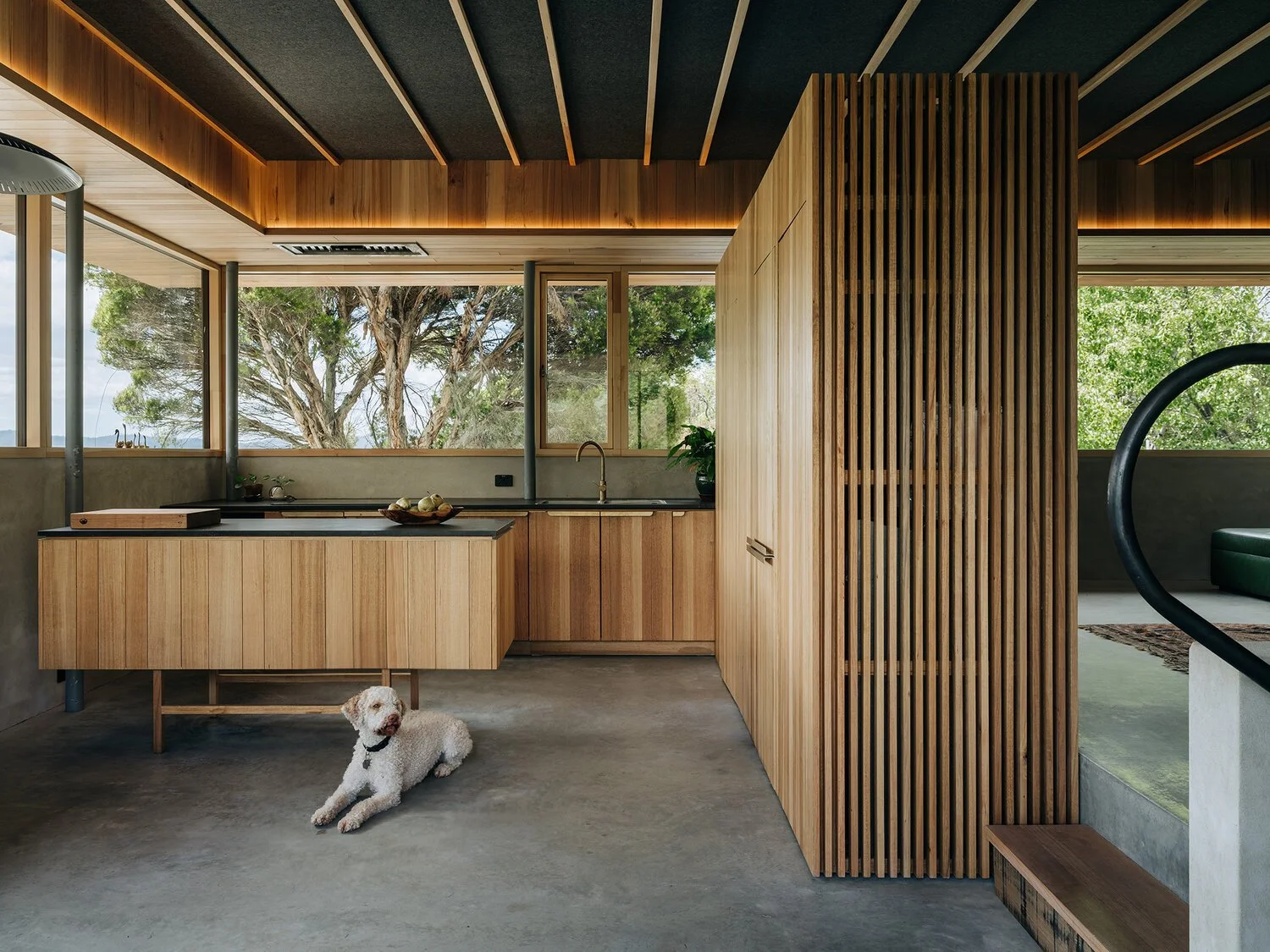 Cascade House | The Radical Project