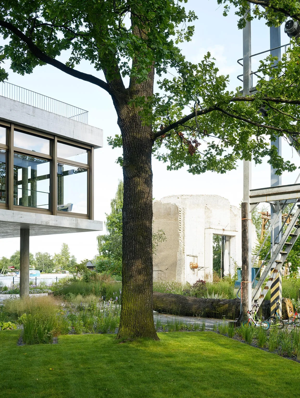 house-on-the-spree-oak-tree.jpg