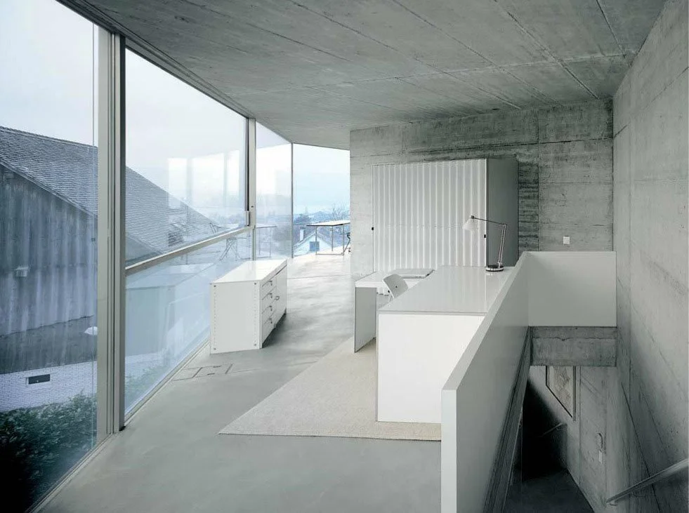 5f85a2bd9a917f5a14b43336_thisispaper-swiss-family-House-with-One-Wall-Christian-Kerez-4.jpg