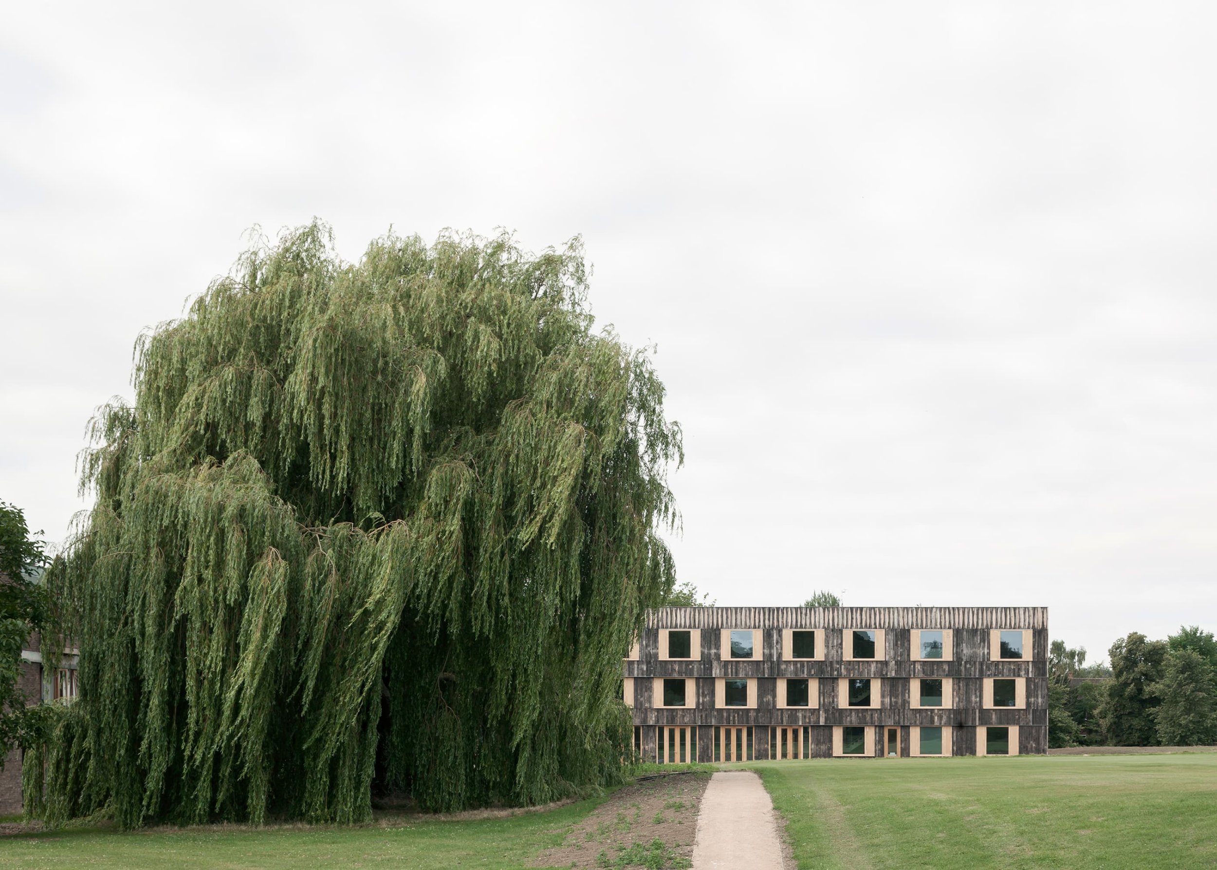 6a-architects-johan-dehlin-david-grandorge-cowan-court.jpg