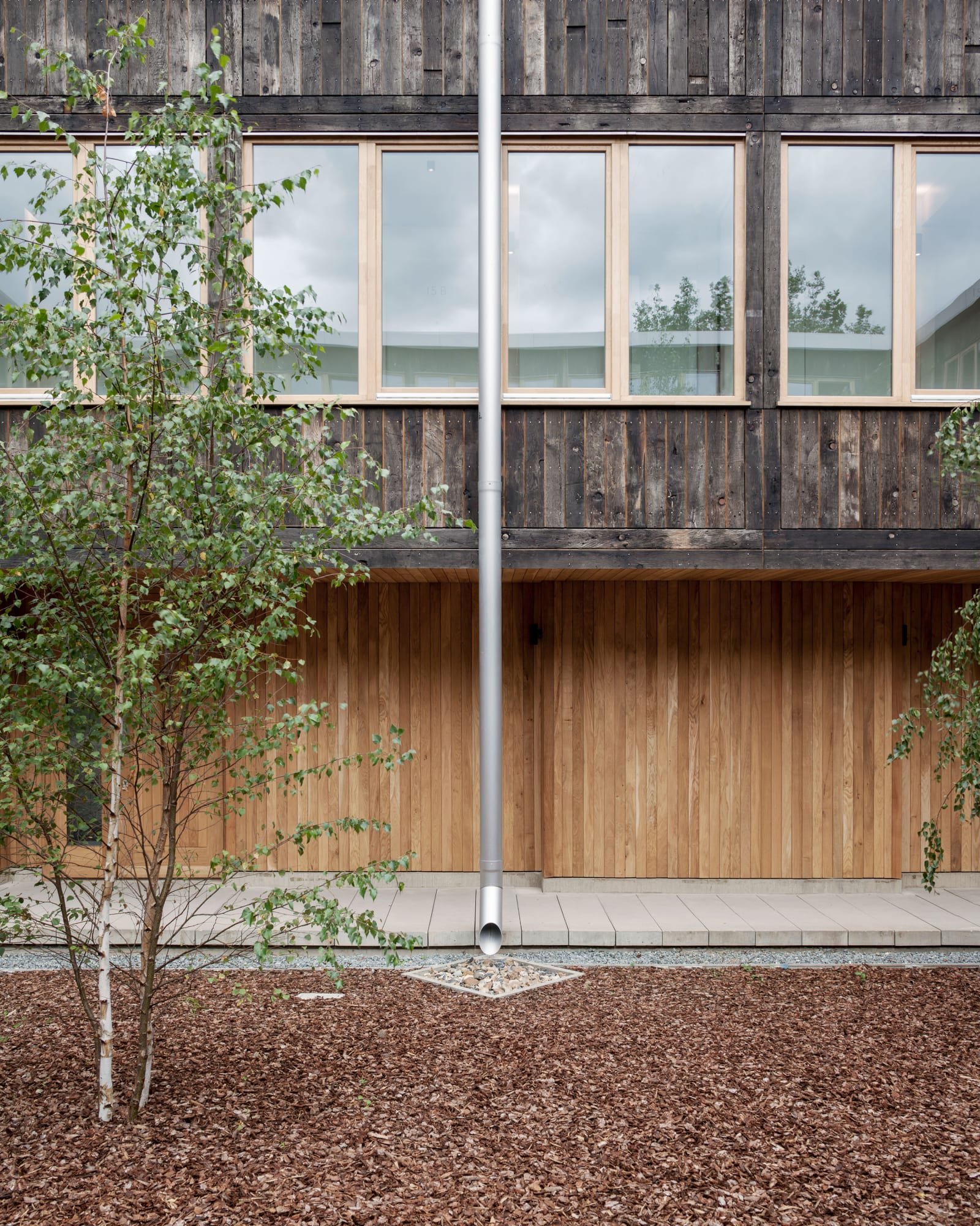 6a-architects-johan-dehlin-david-grandorge-cowan-court (12).jpg