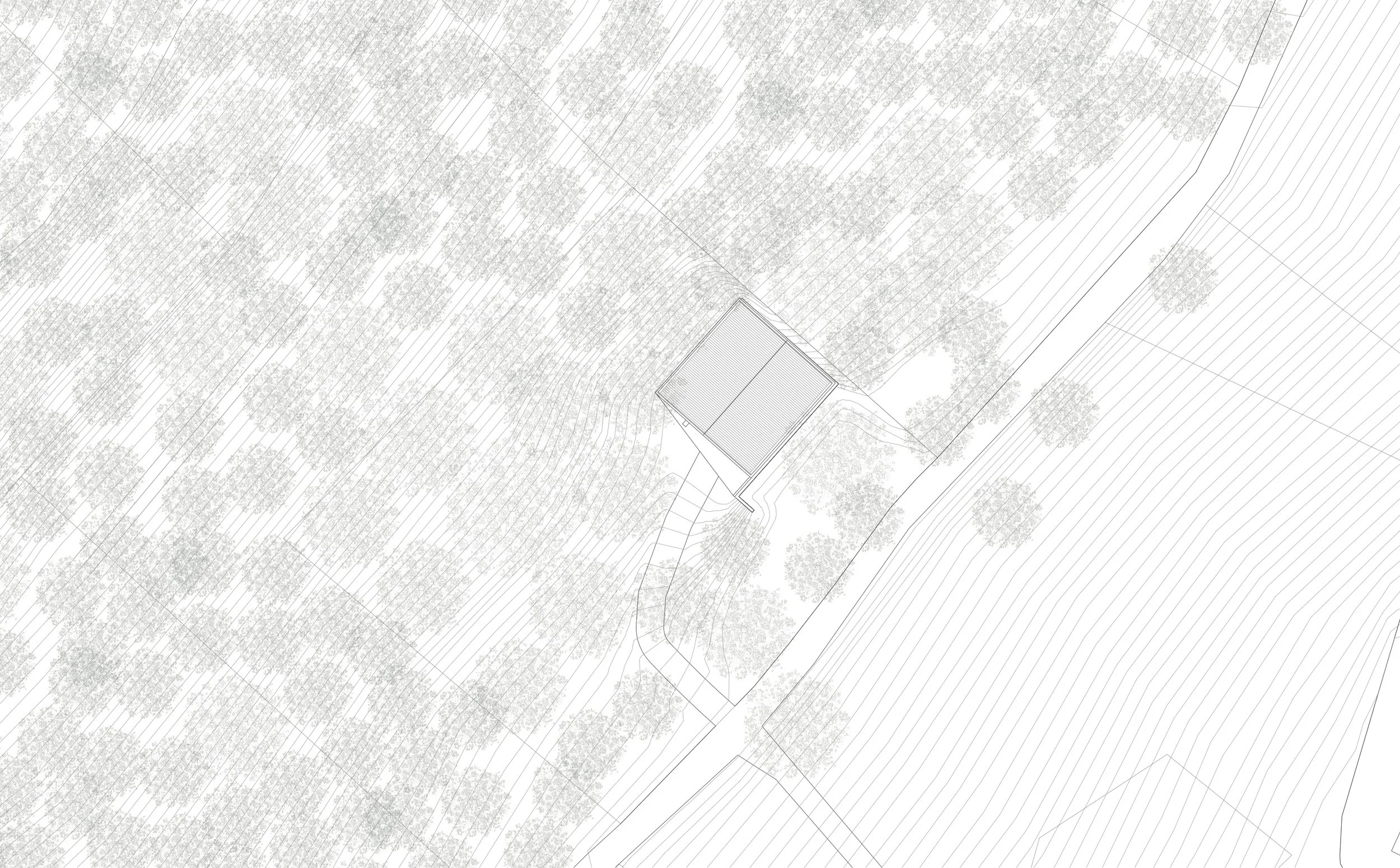VG13 Architects_CONCRETE WAREHOUSE_00-site plan.jpg