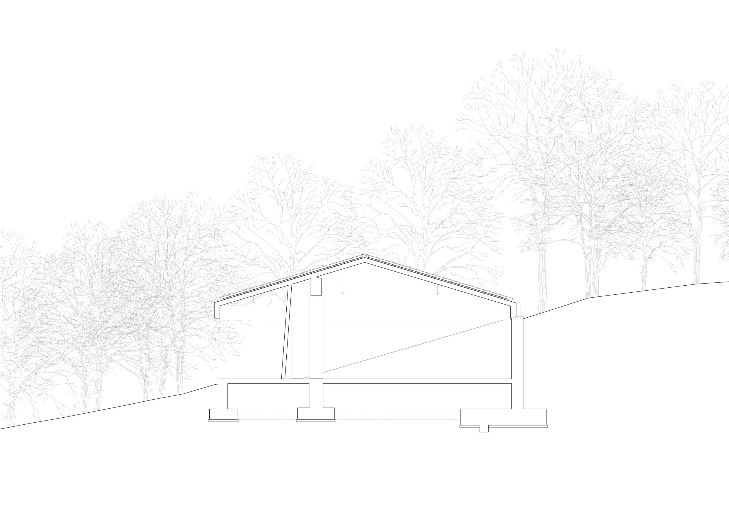 VG13 Architects_CONCRETE WAREHOUSE_02-section1.jpg