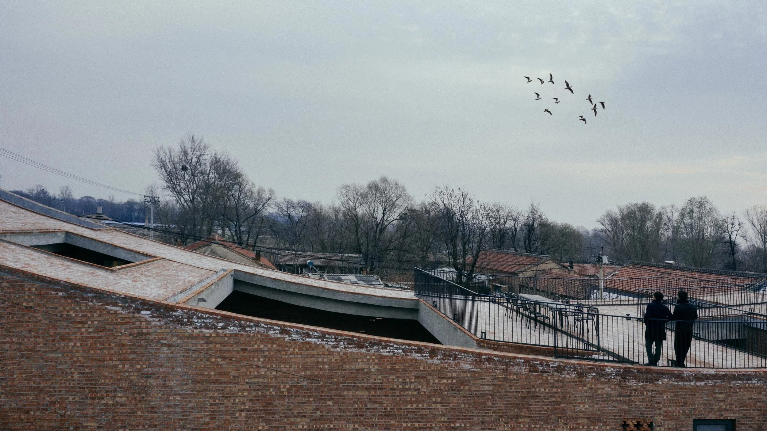 wee-studio-zhu-yumeng-sun-haiting-zhan-yuan-courtyard-house-for-gazing (1).jpg