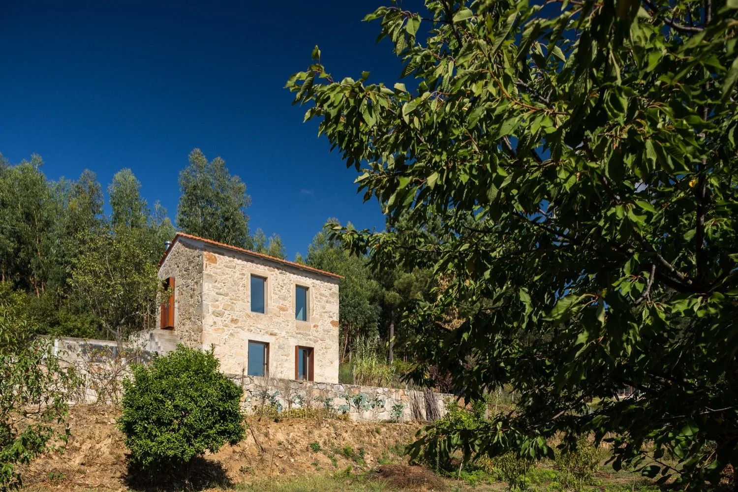 20160916_ARQPAULOMARTINS_SH_HOUSE11.jpg