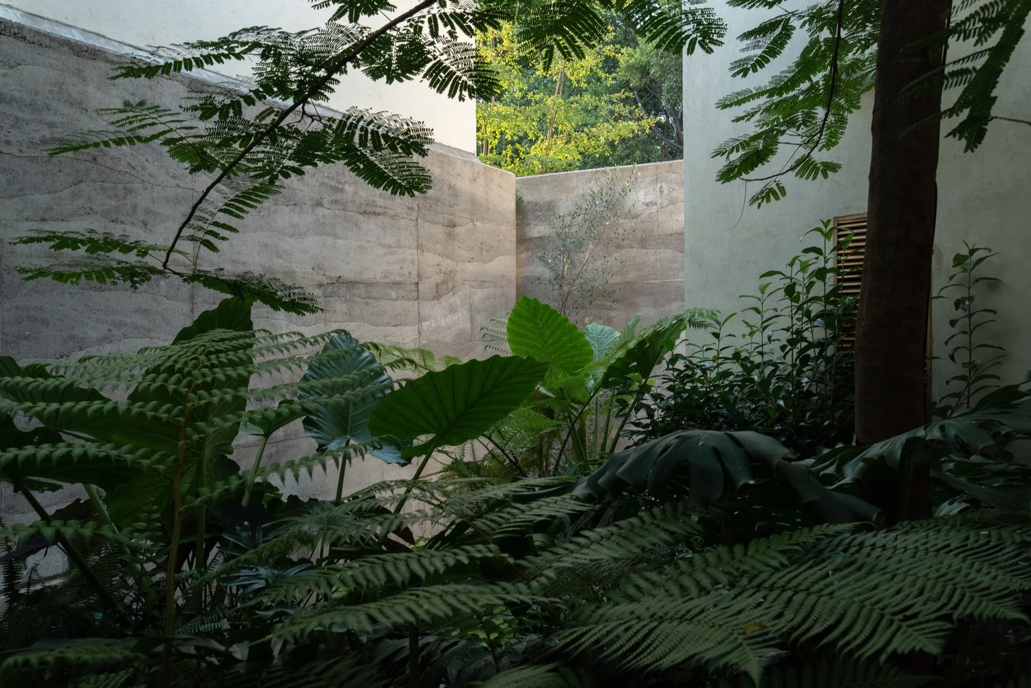 4._JARDÍN_INGRESO.jpg