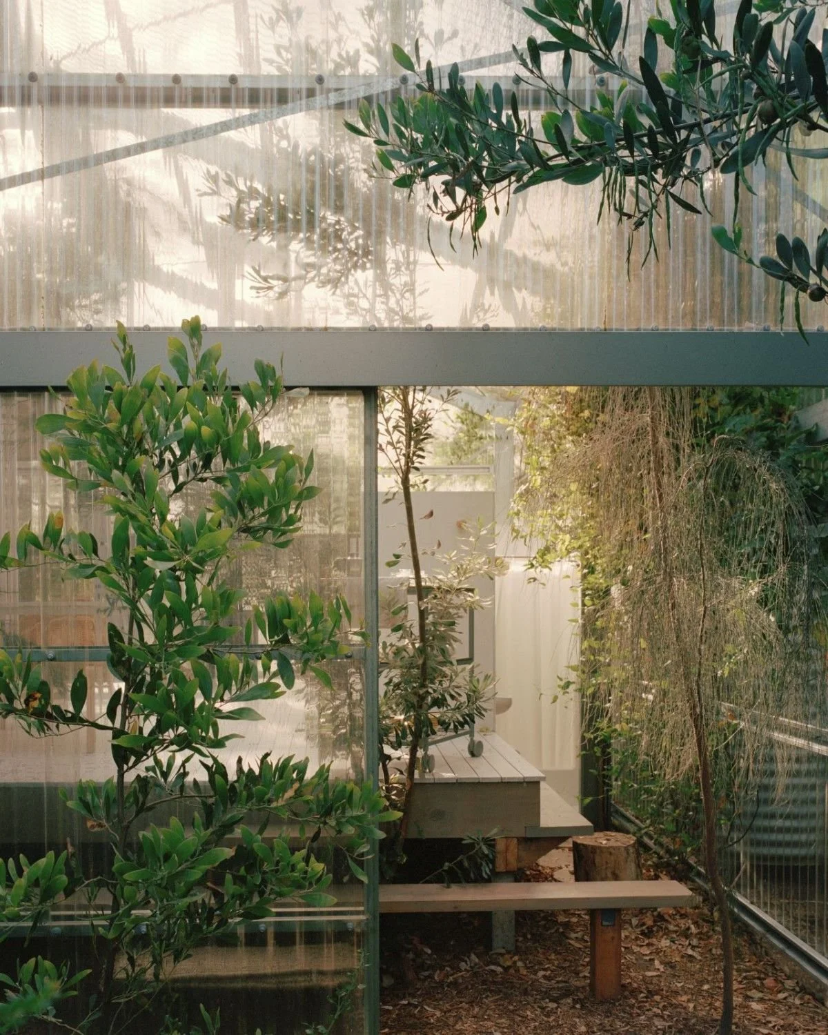 606dc2523e03c07d8205f968_thisispaper-australia-holiday-garden-house-baracco-wright-05.jpg