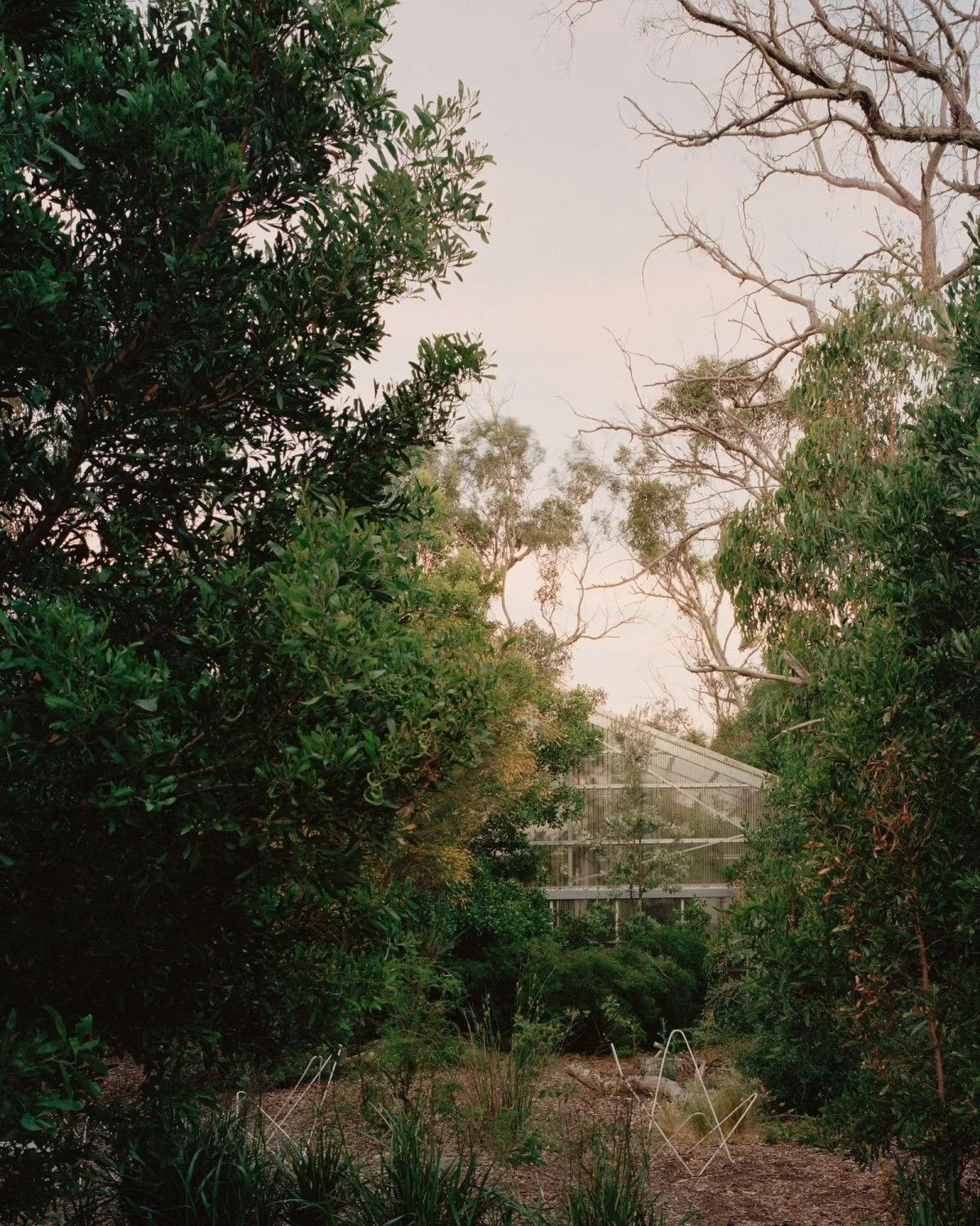 606dc253481d183c0cd98fd5_thisispaper-australia-holiday-garden-house-baracco-wright-03.jpg