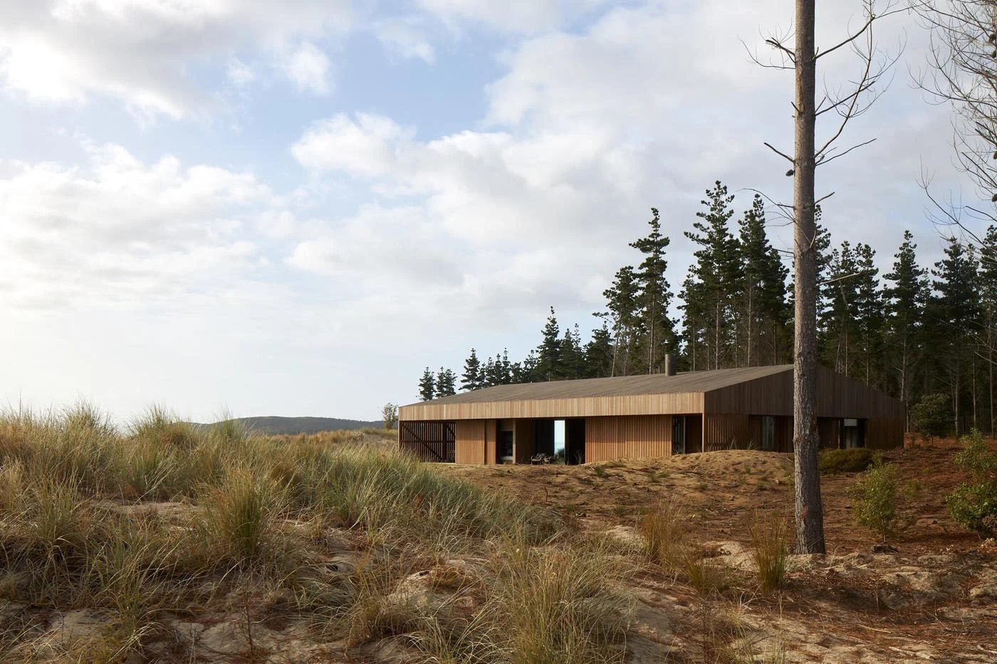 5ffd9e05d46bbef578bff5e2_thisispaper-off-grid-weekend-te-arai-beach-house-fearon-hay-architects-3.jpg