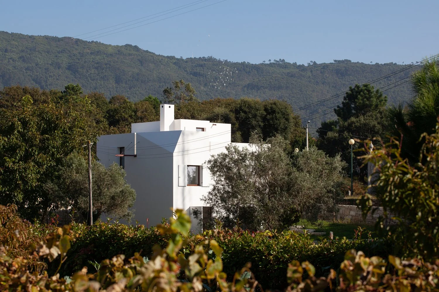 CASA_AFIFE_FINAL_JC_HIGH-16.jpg