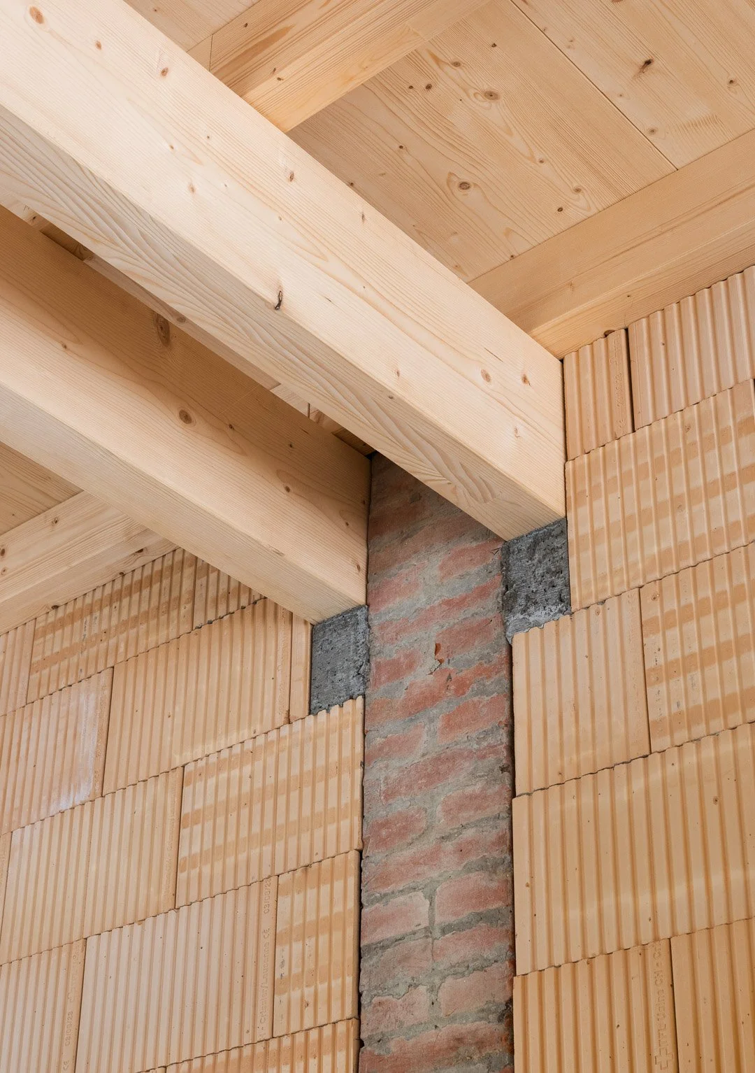 BARD-YERSIN_PDA_10_(David BARD.jpg