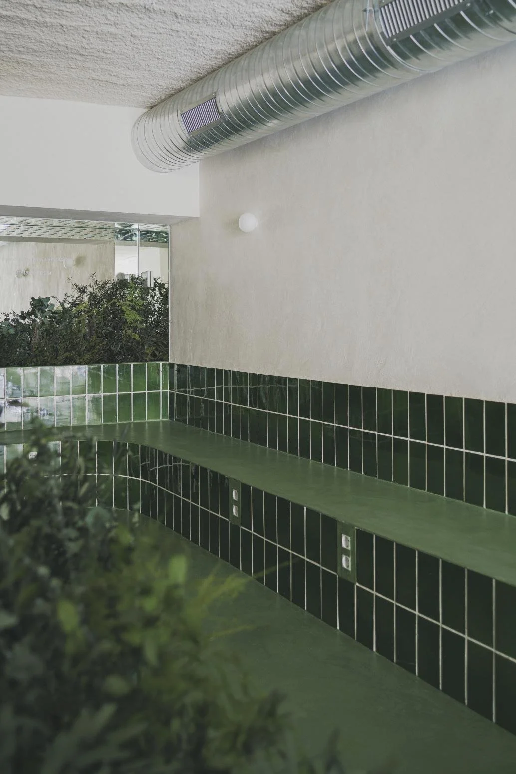 estudio-diir-david-zarzoso-greta (9).jpg