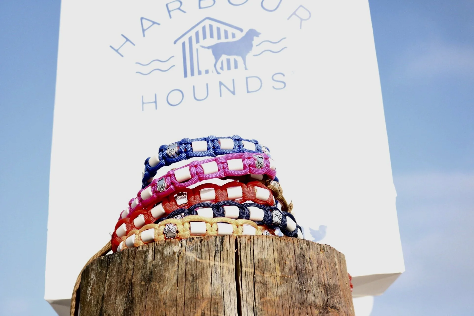 Harbour Hounds at the Southampton International Boat Show