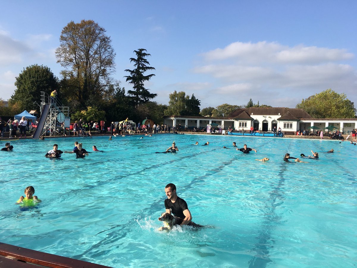SANDFORD PARKS LIDO DOGGY SWIM - CHELTENHAM