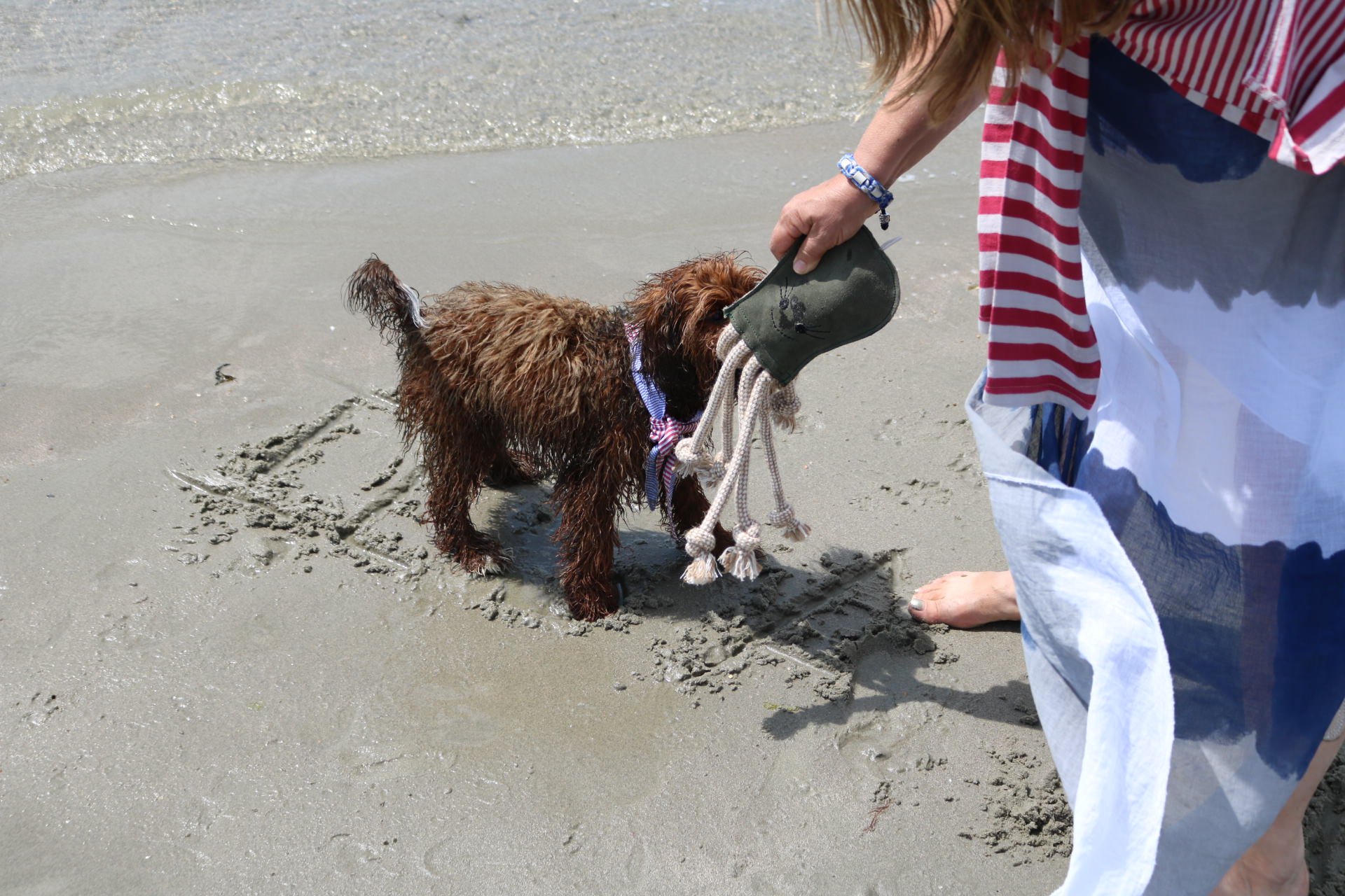 Eco-friendly octopus dog toy 