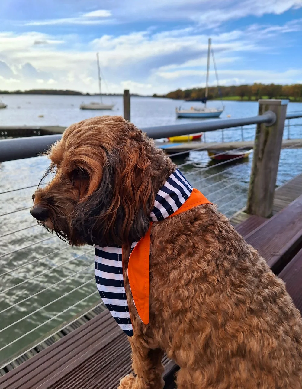 Dog Bandana Matching Scrunchie Orange Navy Nautical Stripes