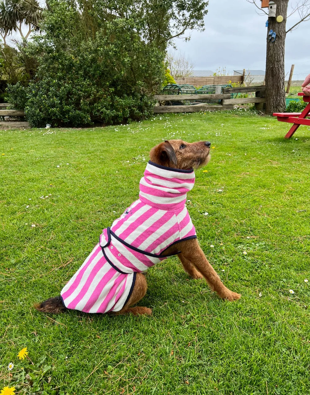 pink dog dressing gown Buy Pink Dog Dress - Designer Pet Clothes Yorkie Girl Chihuahua Outfit Online in India