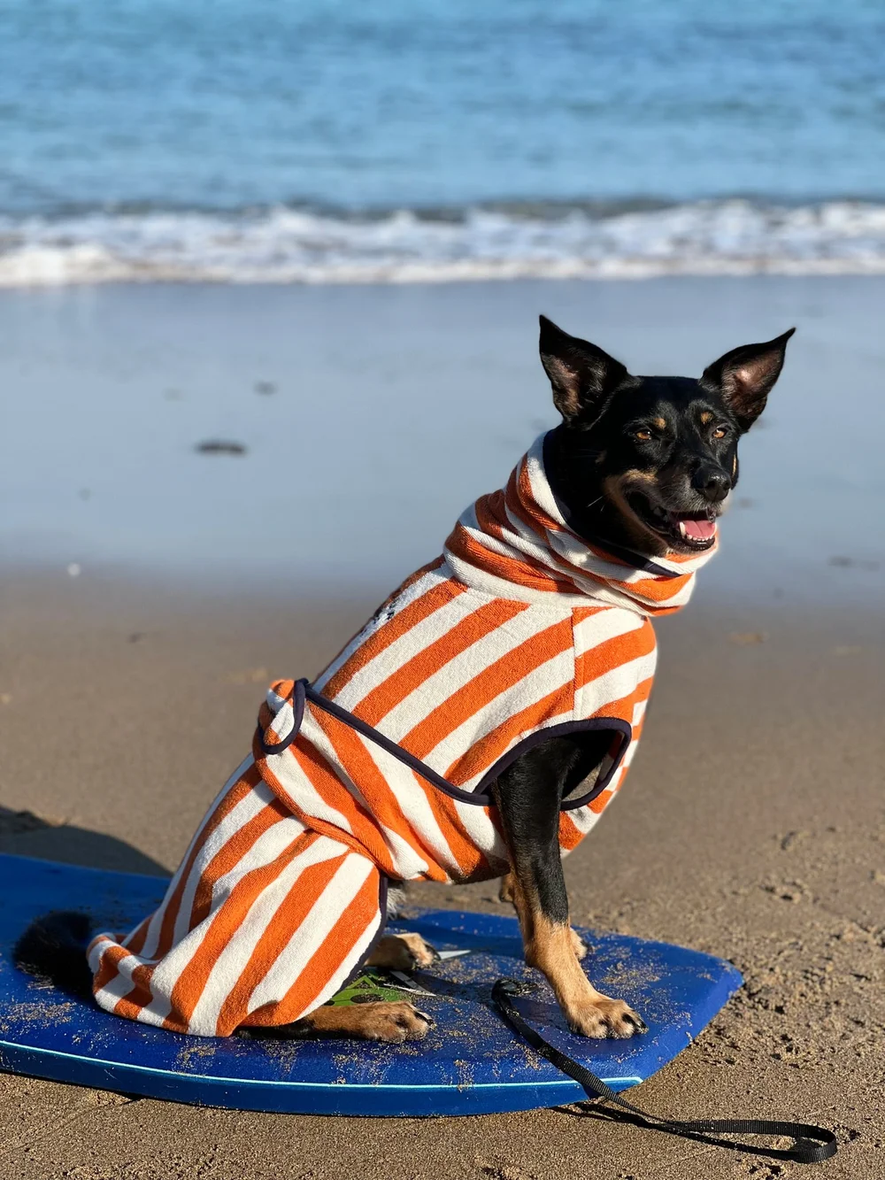 open lace back dress Striped Polo Dog Shirt Dog Clothes for Small Medium Dogs – FrankandBeanz  Fancy Jewelry and Toys for Pets
