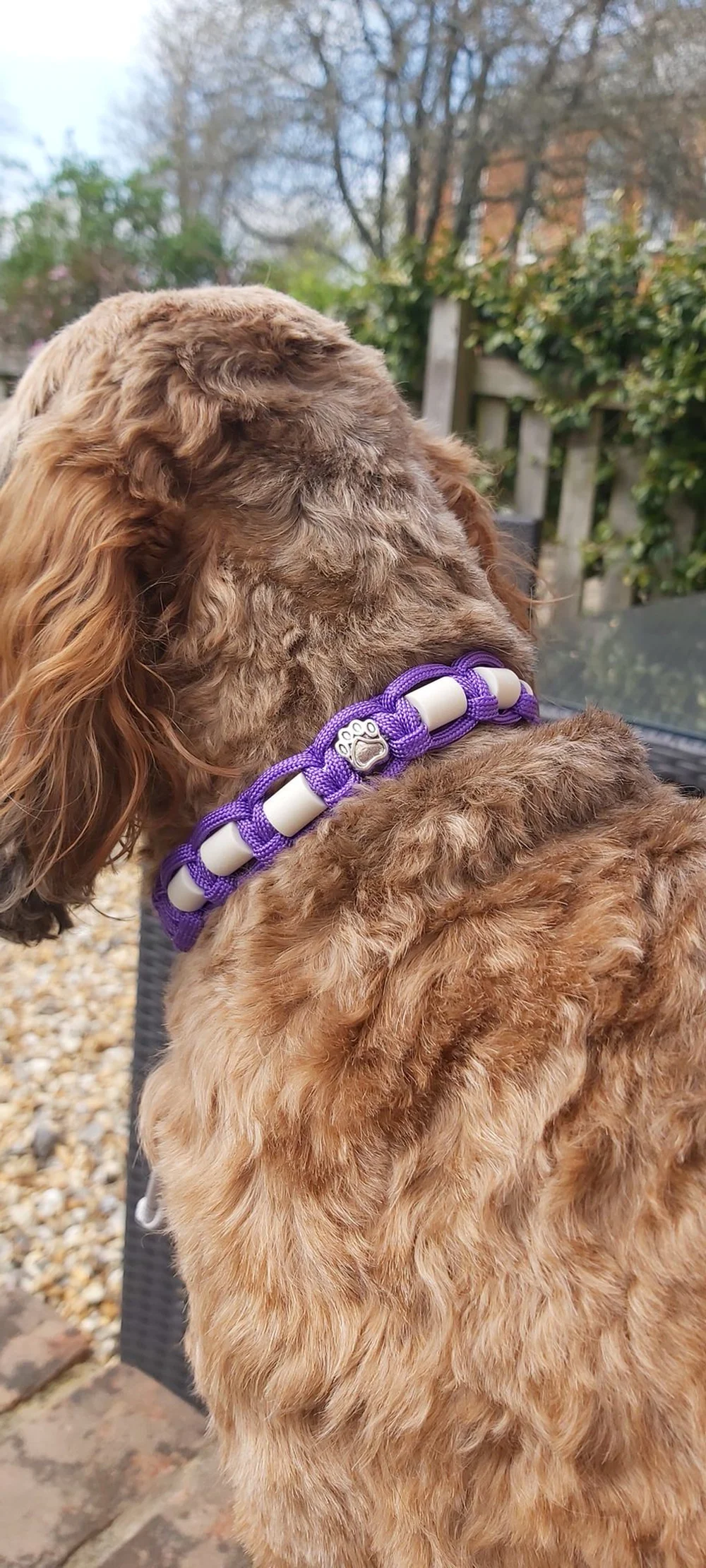 EM® Tick-Off Dog Necklace Pooch Purple Harbour Hounds