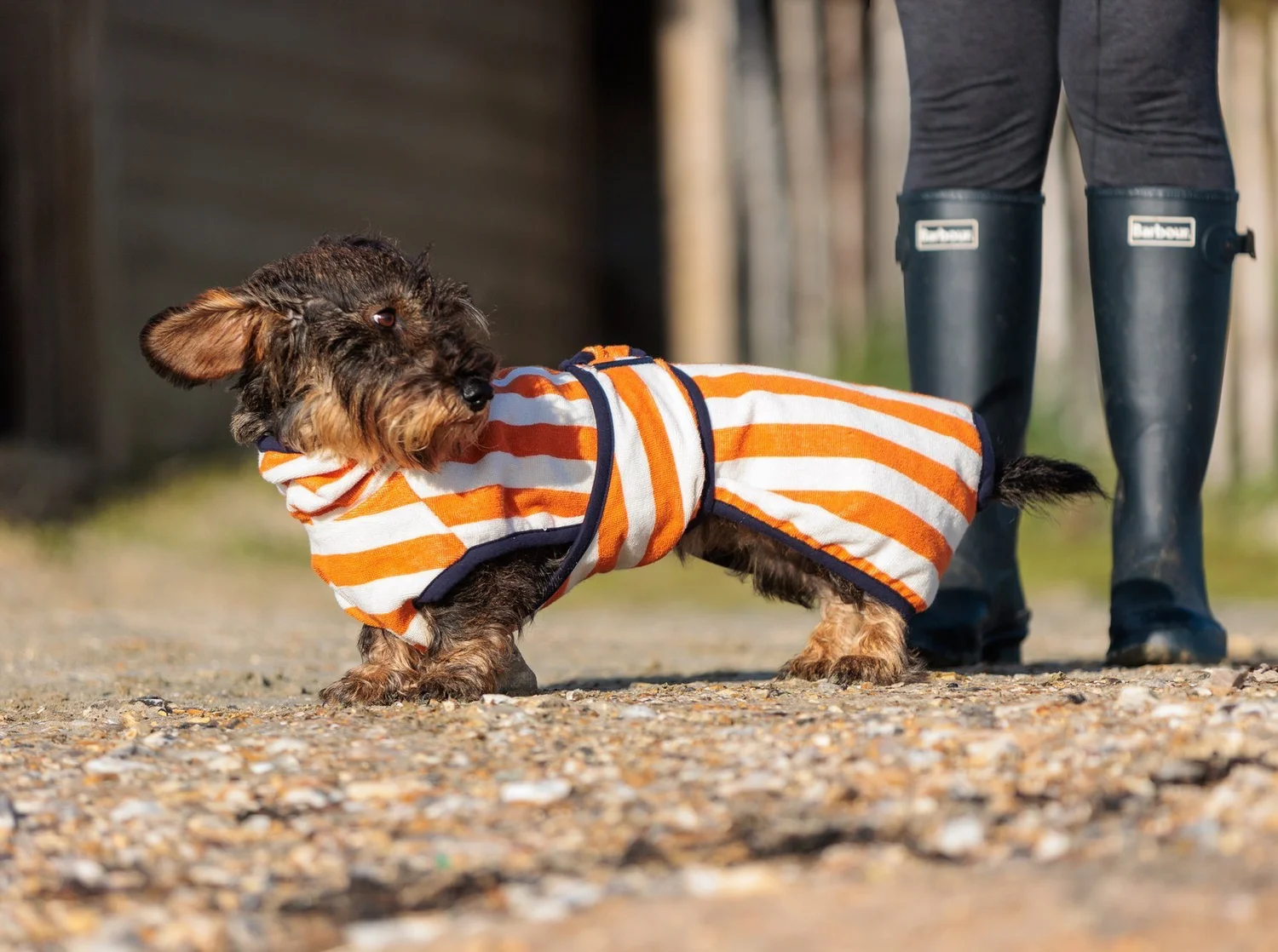 Dog Drying Robe Orange/Sea Salt Dachshund Harbour Hounds