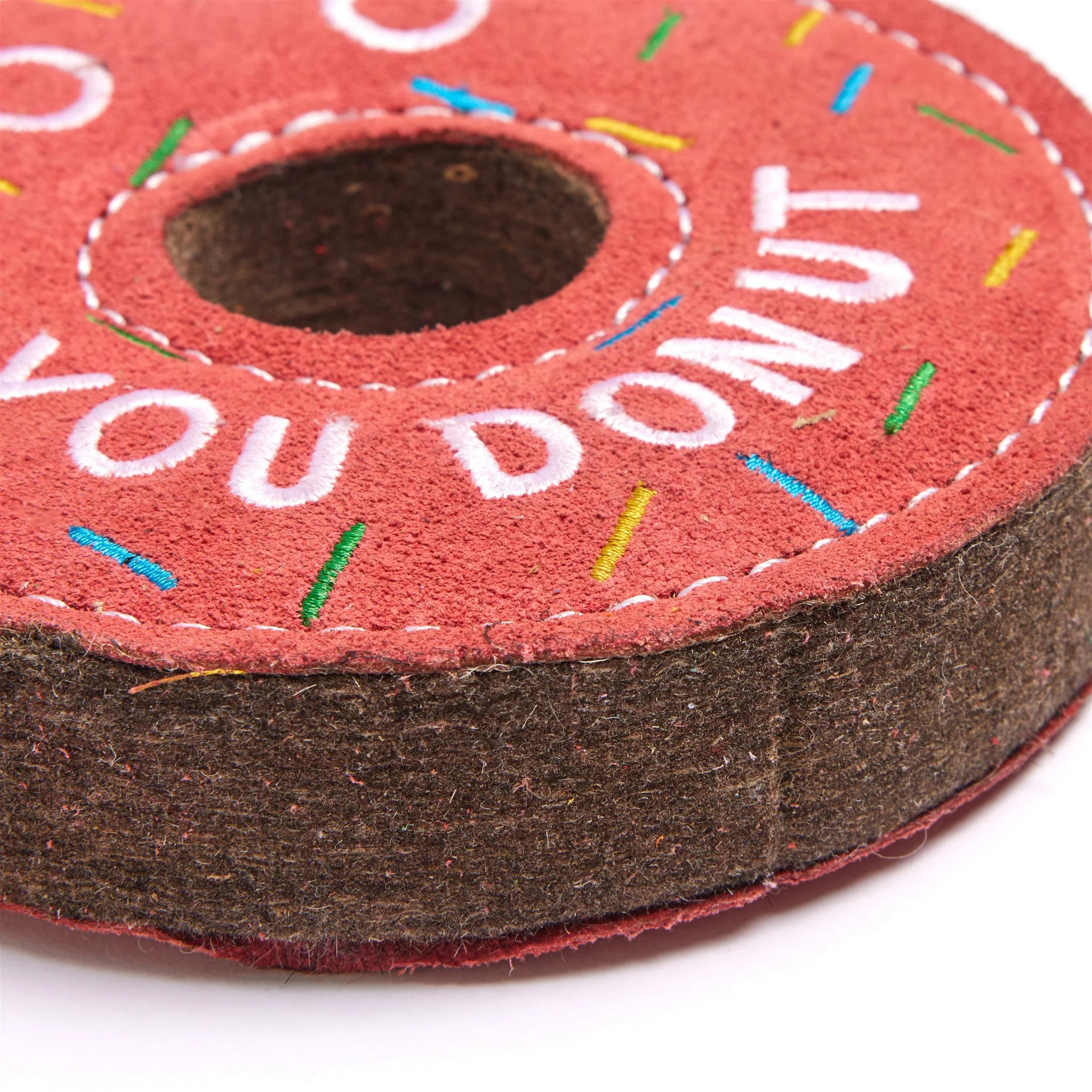 Dolly the Donut Close Up.jpg