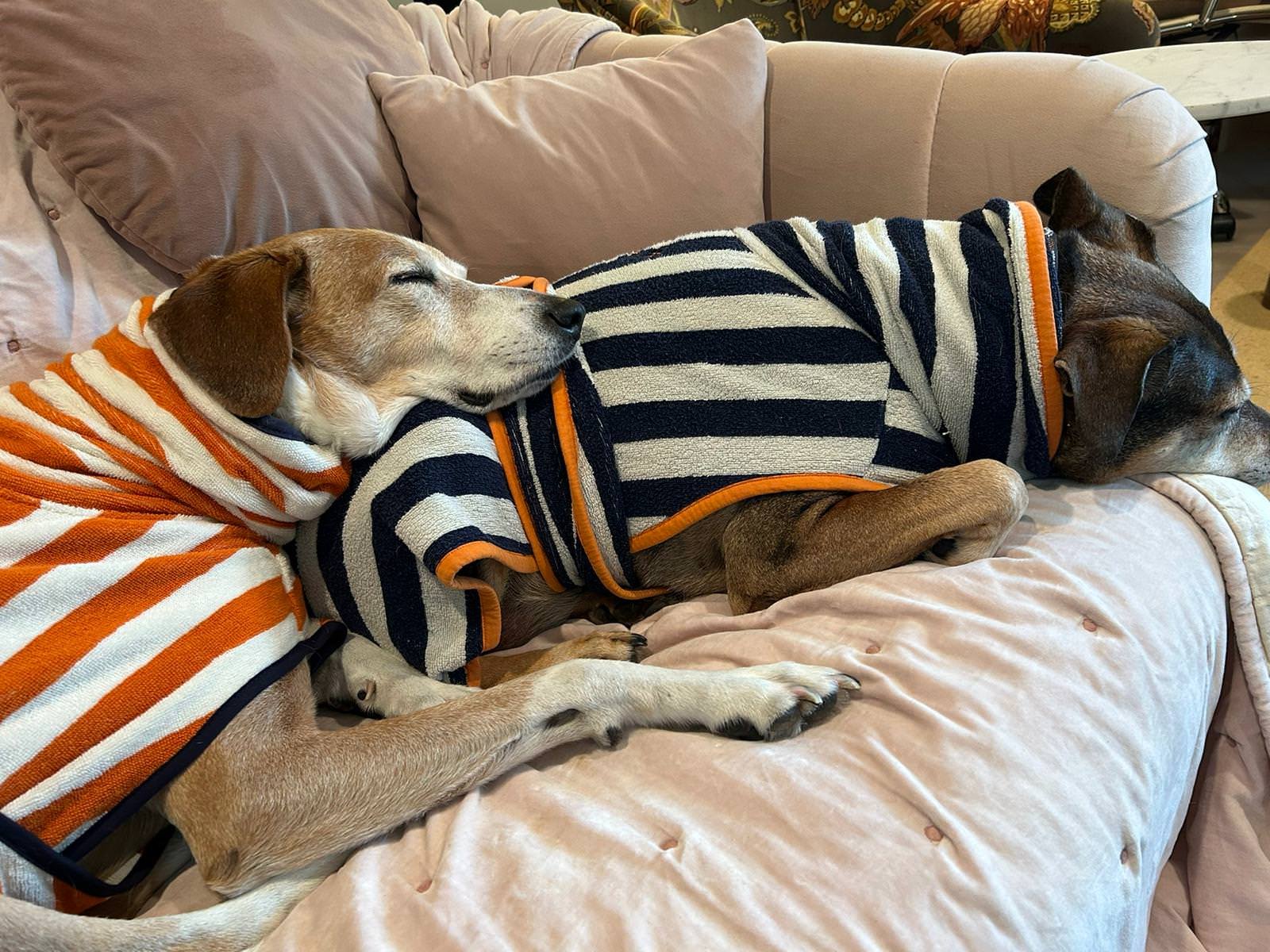 Navy and Orange stripe Dog Drying Robe