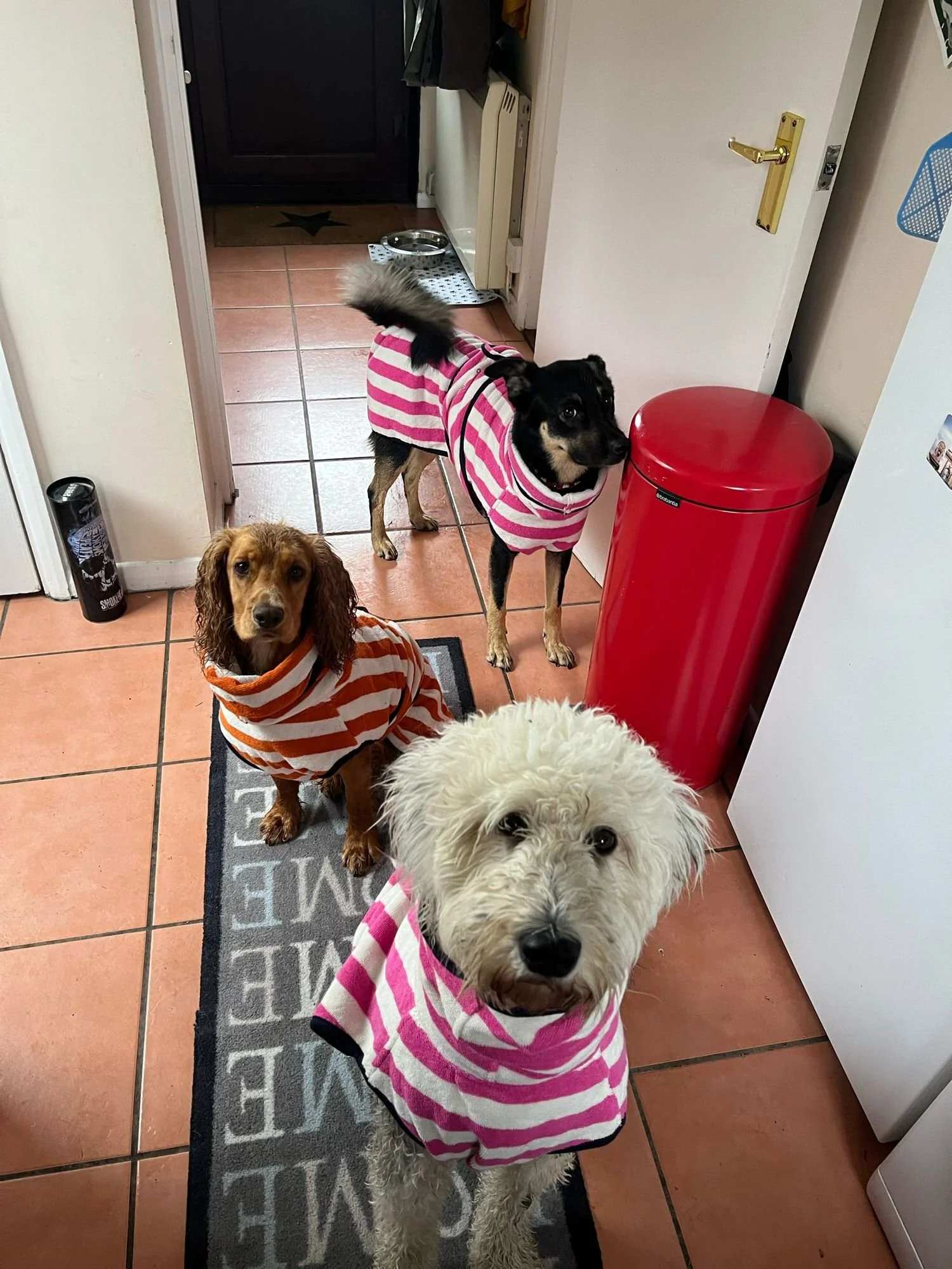 Pink and Orange Dog Drying Robes