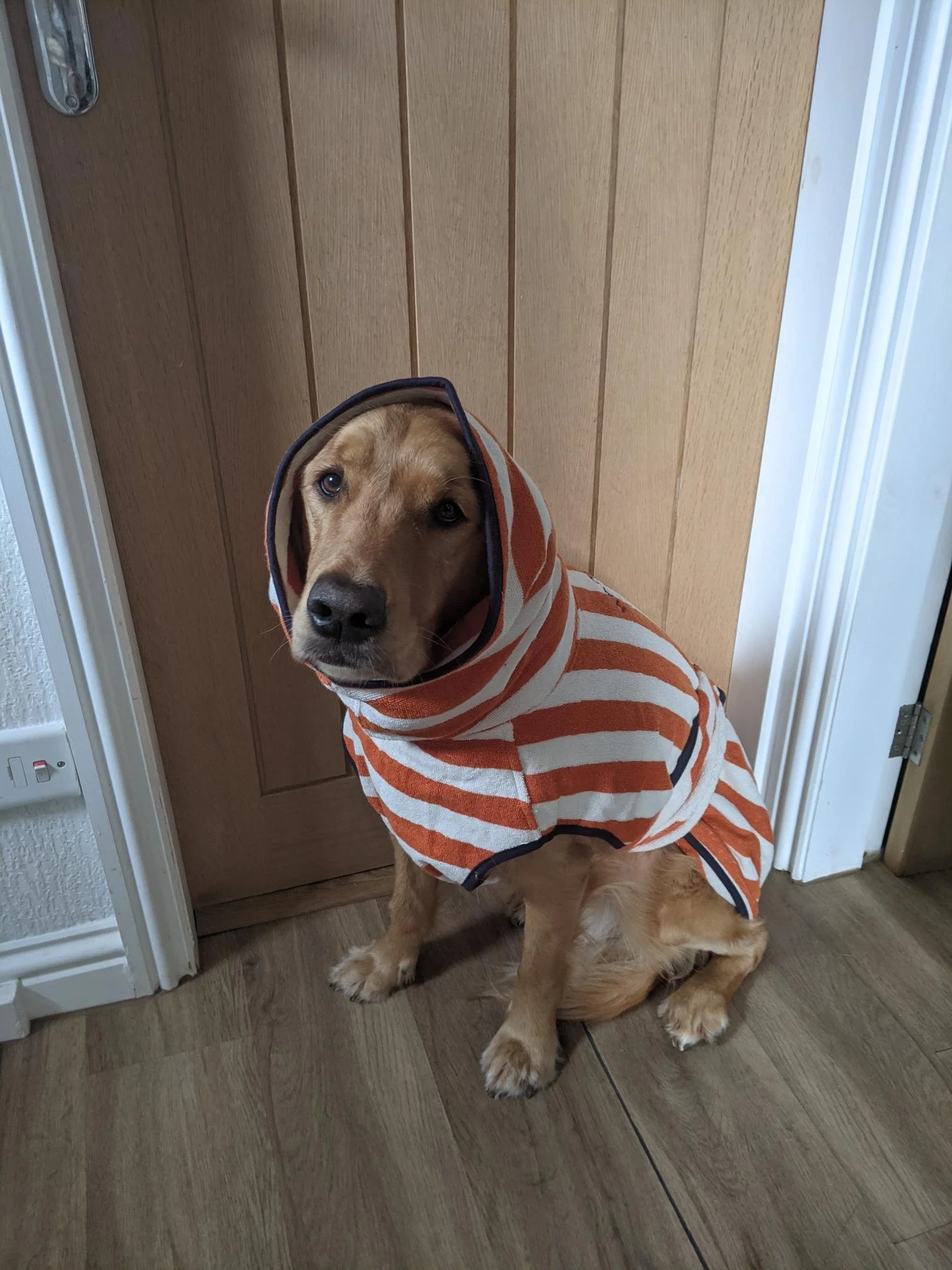 Orange stripe Dog Drying Robe