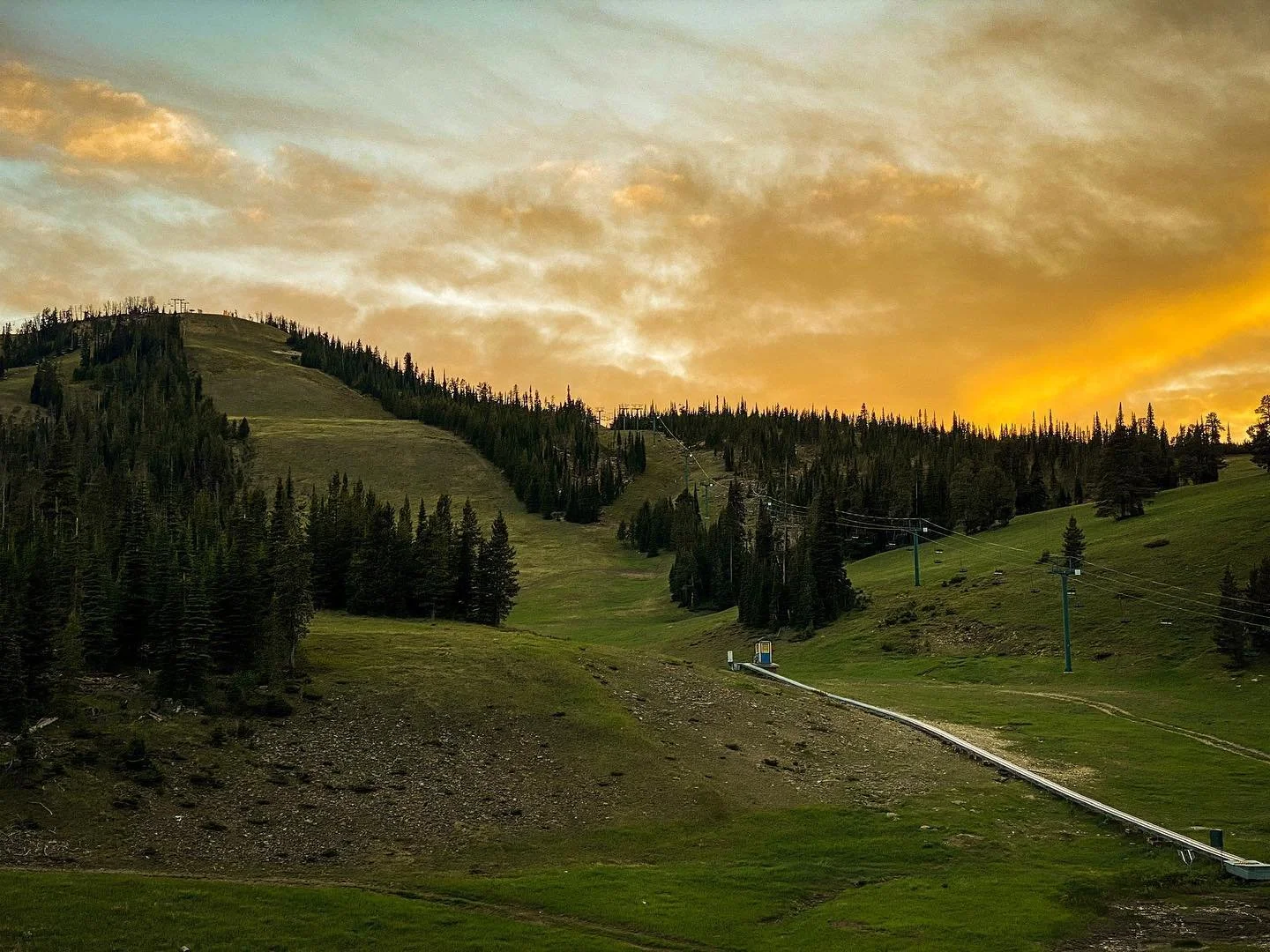 Wild Women Fall Event: Non Member