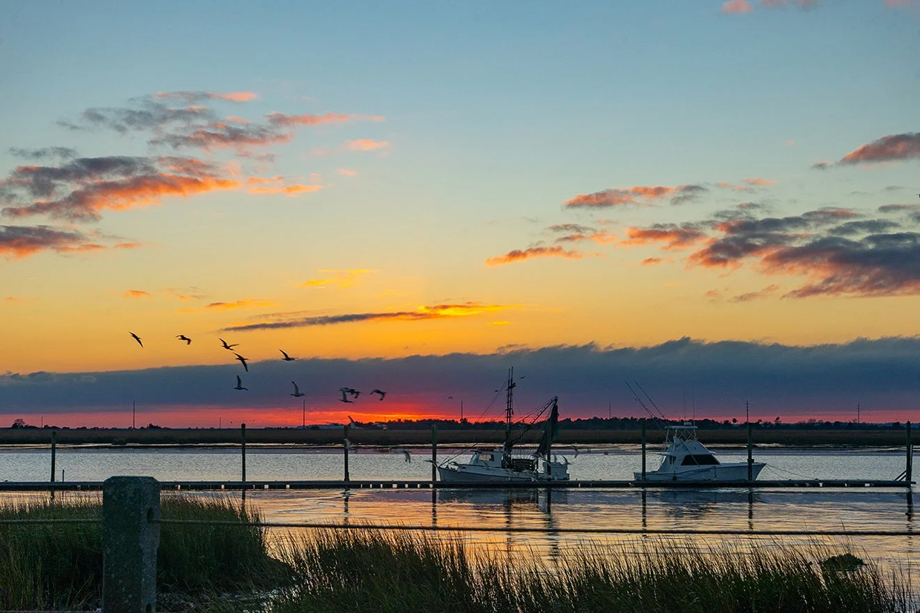 12 Favorite Photos from 2025