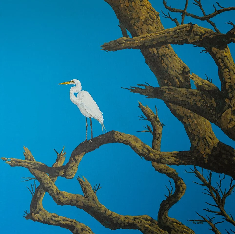 Blackrock Egret 24 x 24