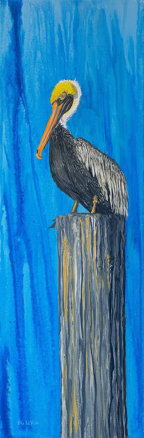 Pelican 8x24
