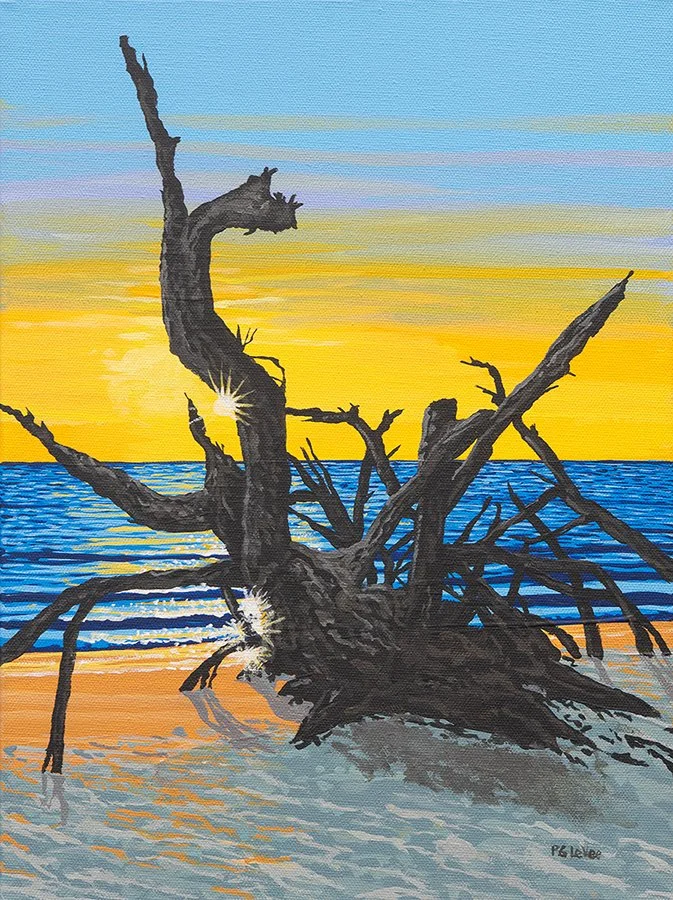 Blackrock Sparkles 12x16