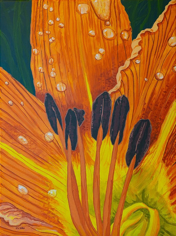 Tiger Lily  18x24