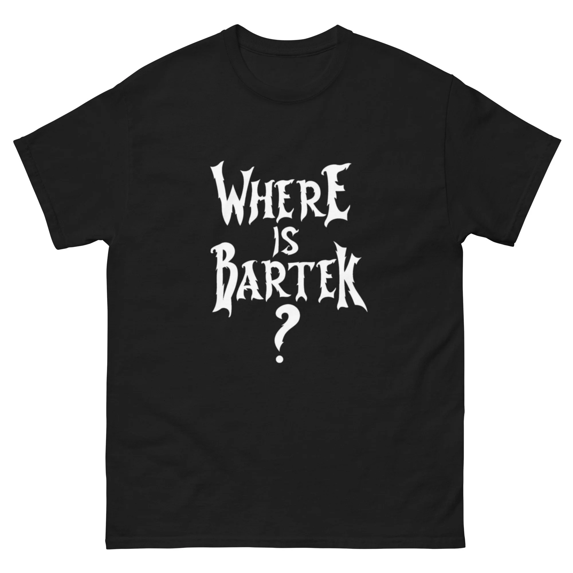 mens-classic-tee-black-front-656a1d8a12145.jpg