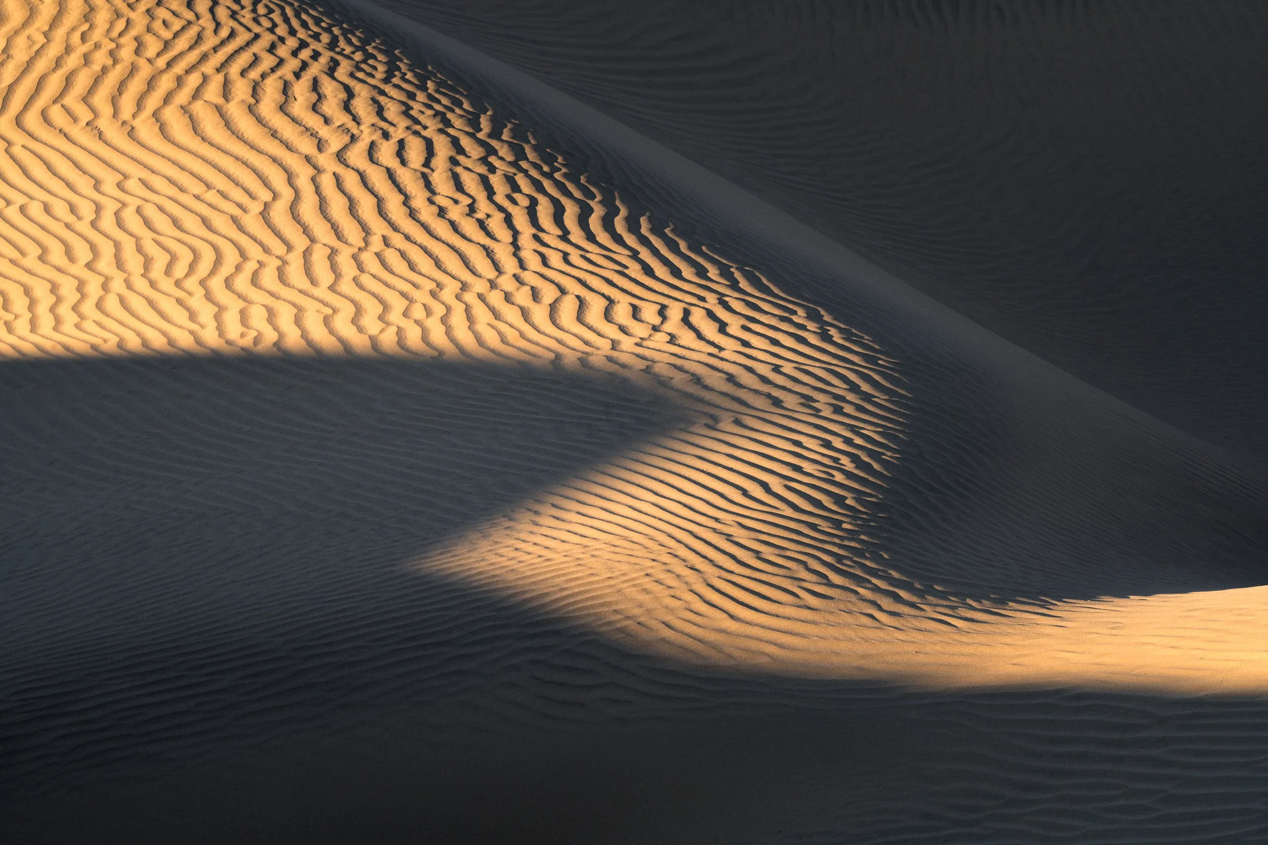 Sinuous