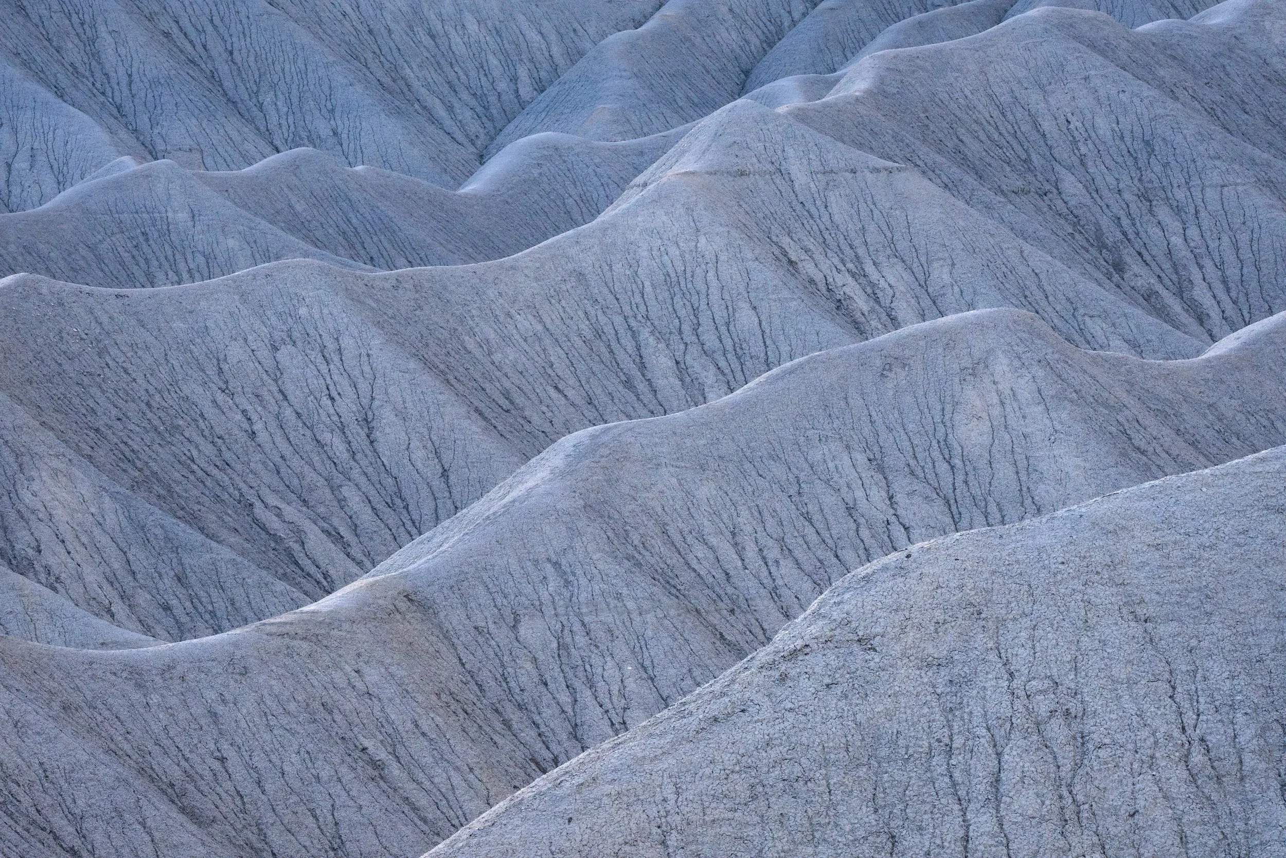 Capillaries
