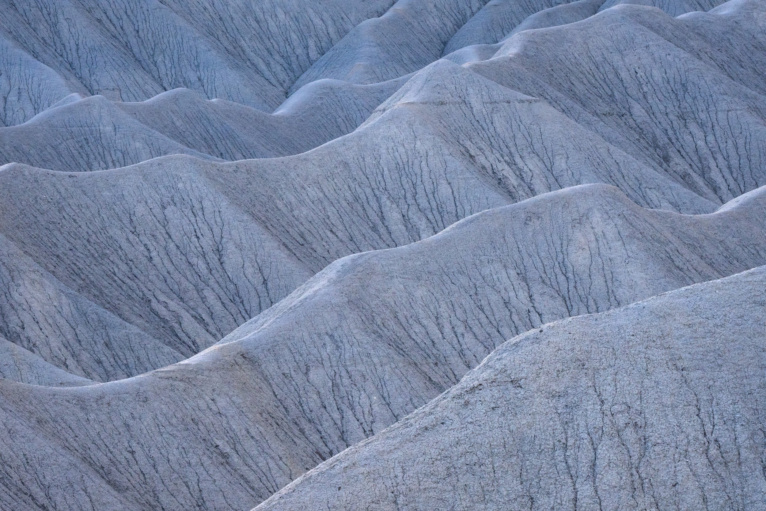 CAPILLARIES.jpg