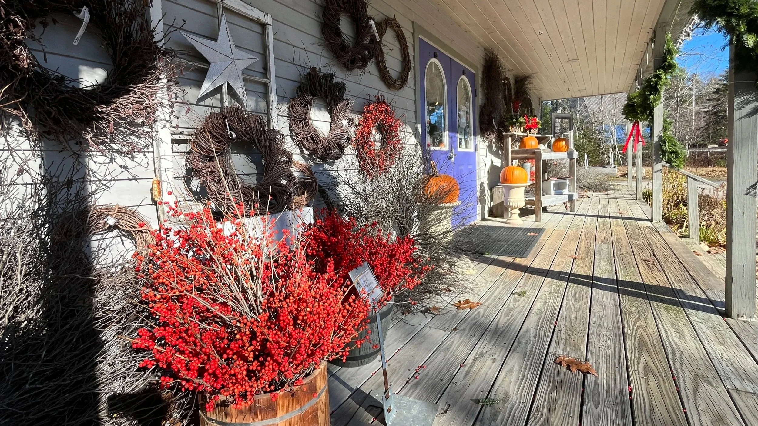 November Business After Hours