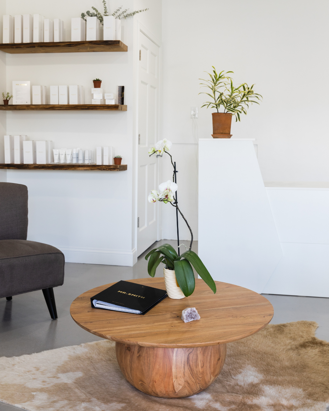 Modern living room with wooden coffee table, potted orchid, marble rock, gray armchair, white shelves with books, and a white background with plants.