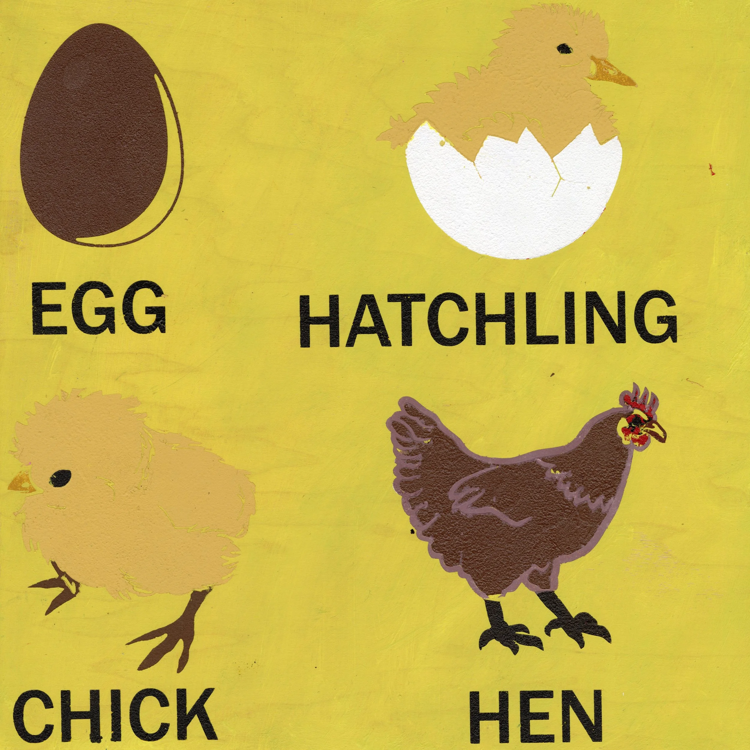 KROC EXCLUSIVE: Egg to Hen