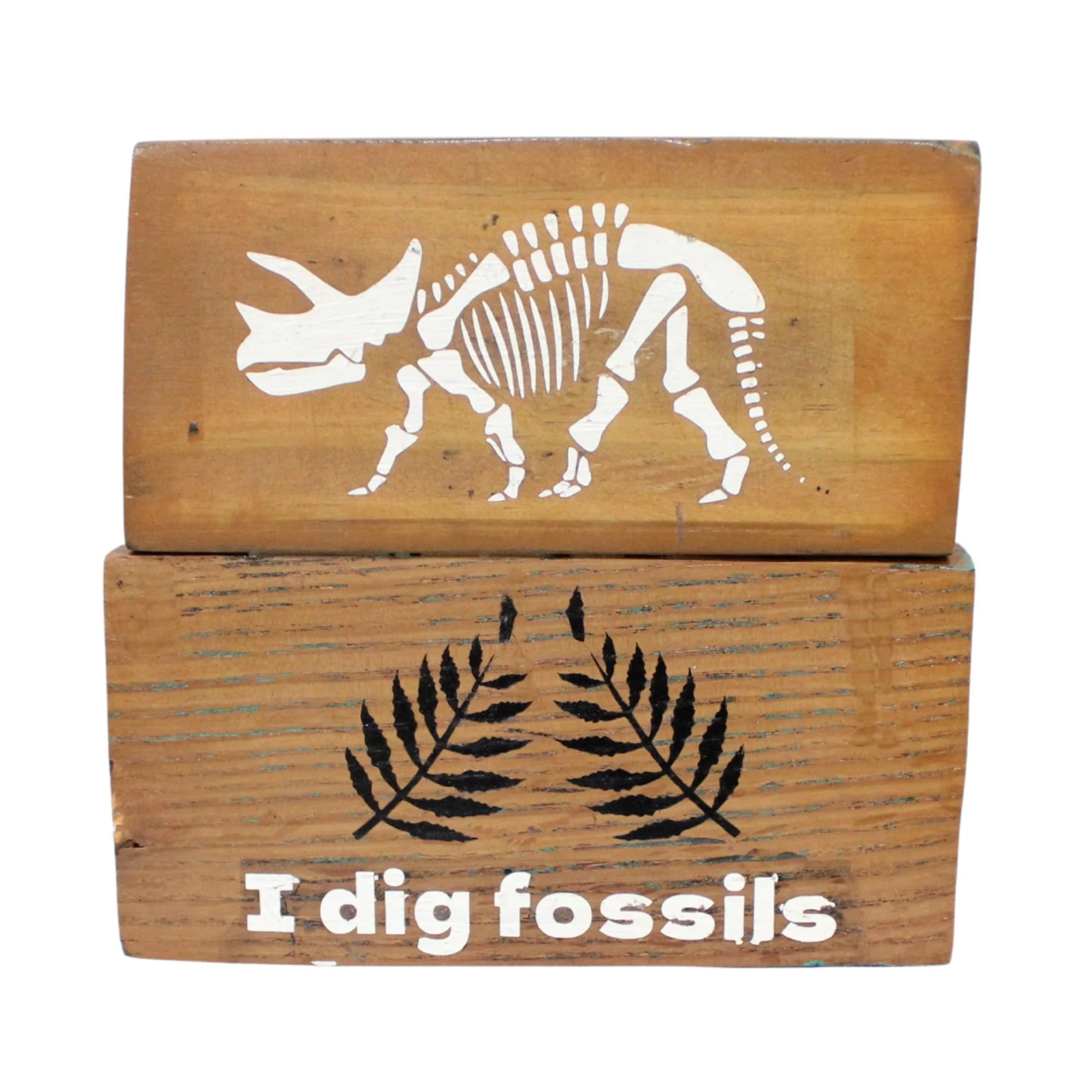 KROC EXCLUSIVE: I Dig Fossils