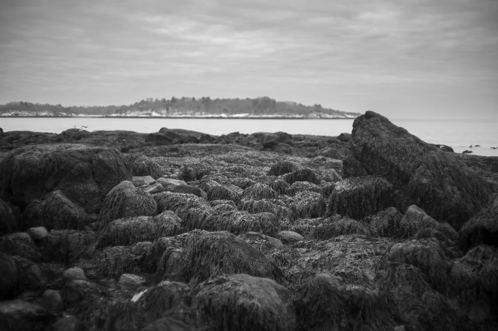 L1004979.jpg