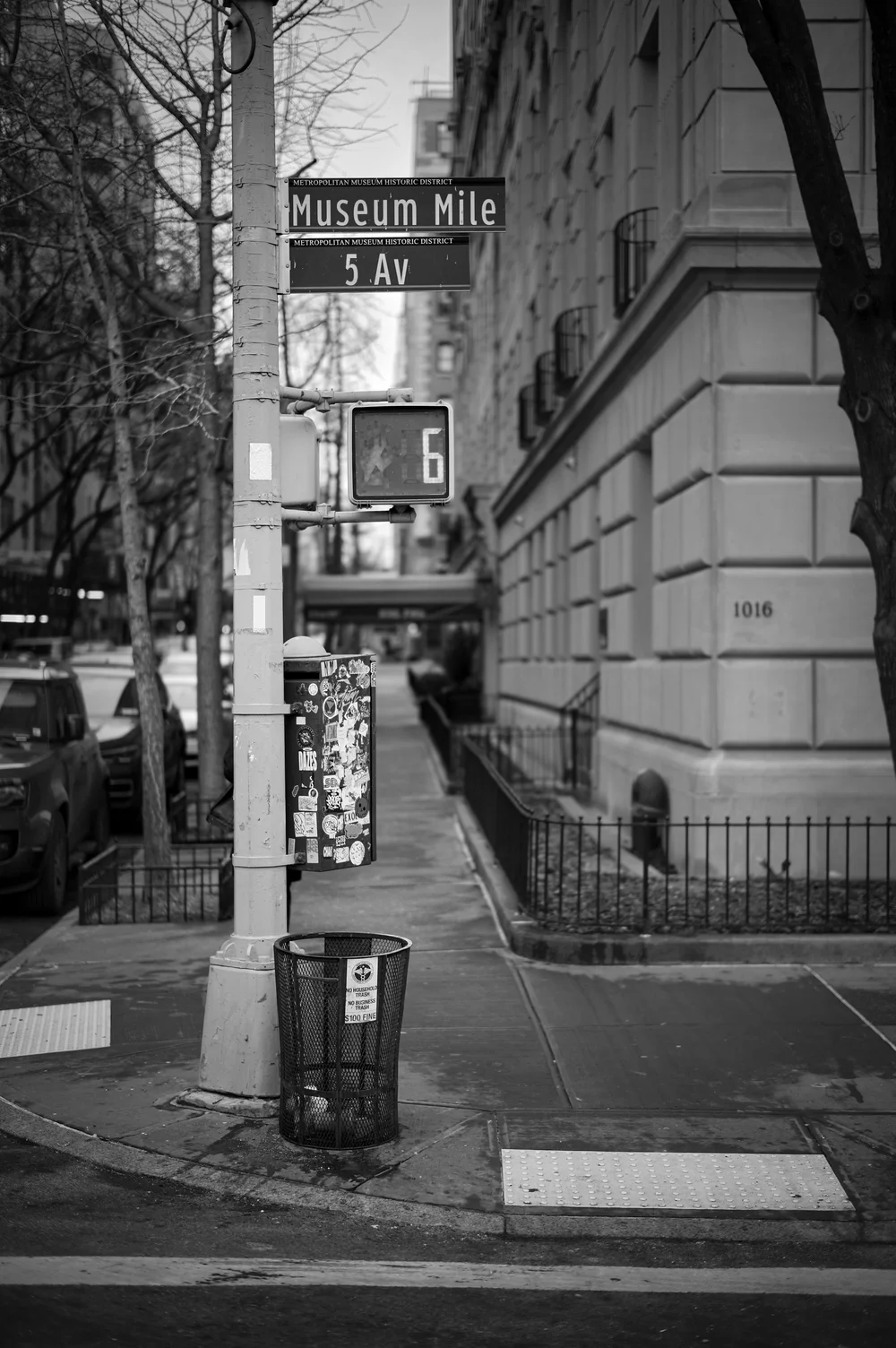 L1005295.jpg