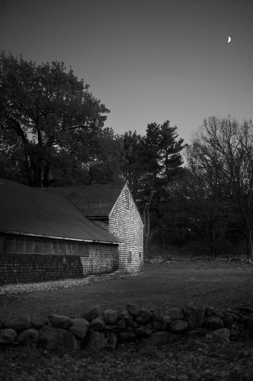 L1004799.jpg