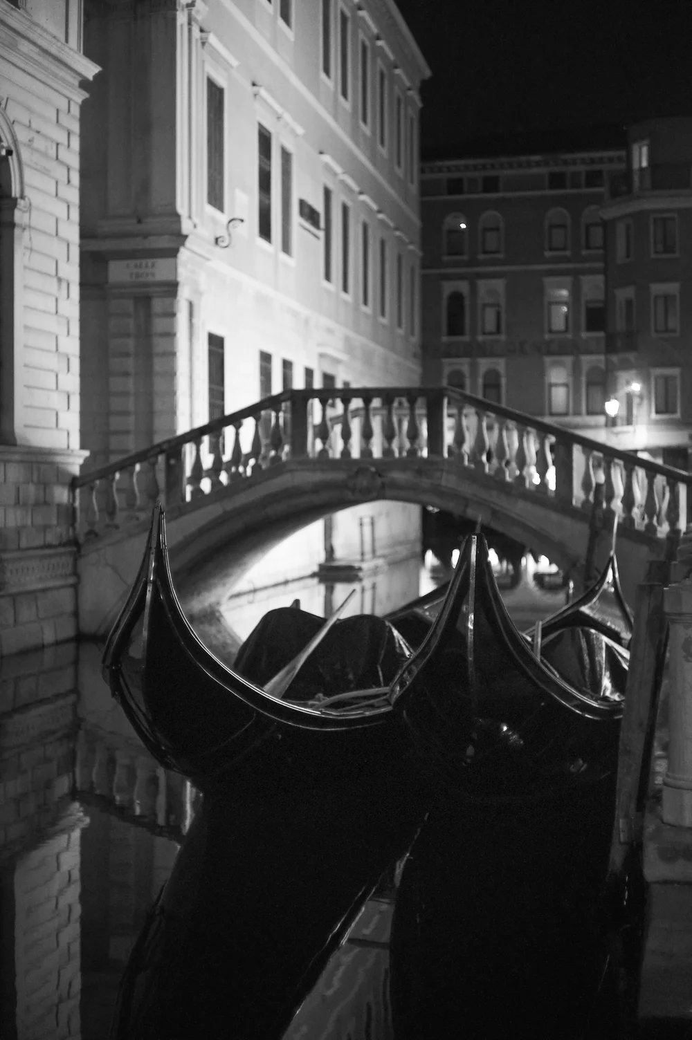 L1005919.jpg