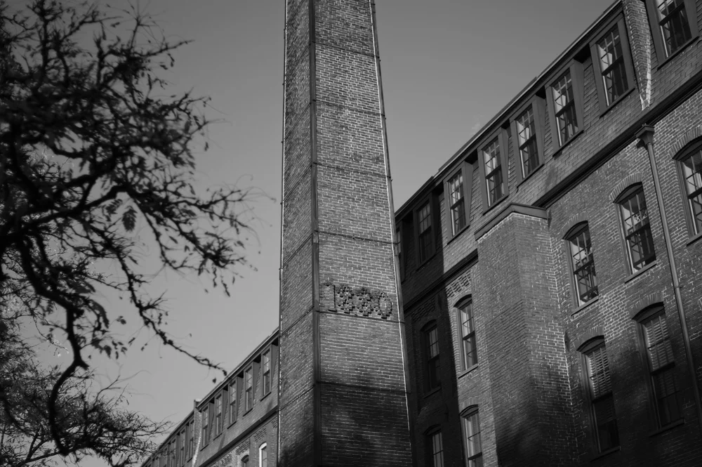 L1004744.jpg